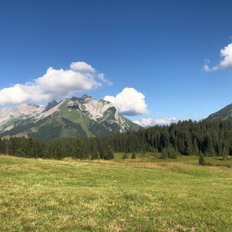 Locdecharme - Appartement 3 Chambres avec Vue sur la Montagne - 38