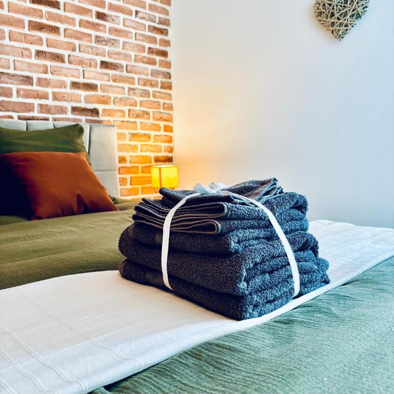 Le cocon d Albi - Villa 1 Chambre - 3