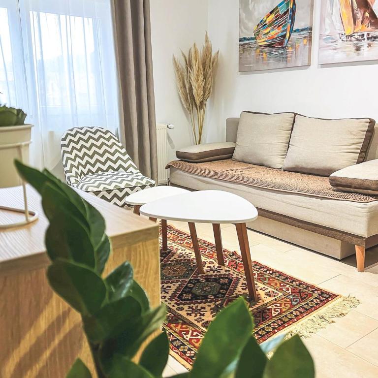 Apartments Velickovic - Apartman - 1