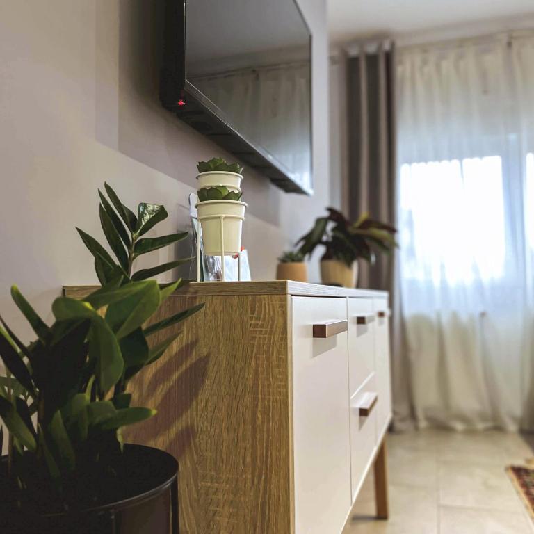 Apartments Velickovic - Apartman - 12