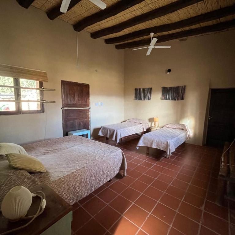 Finca Basin - Chalet - 11