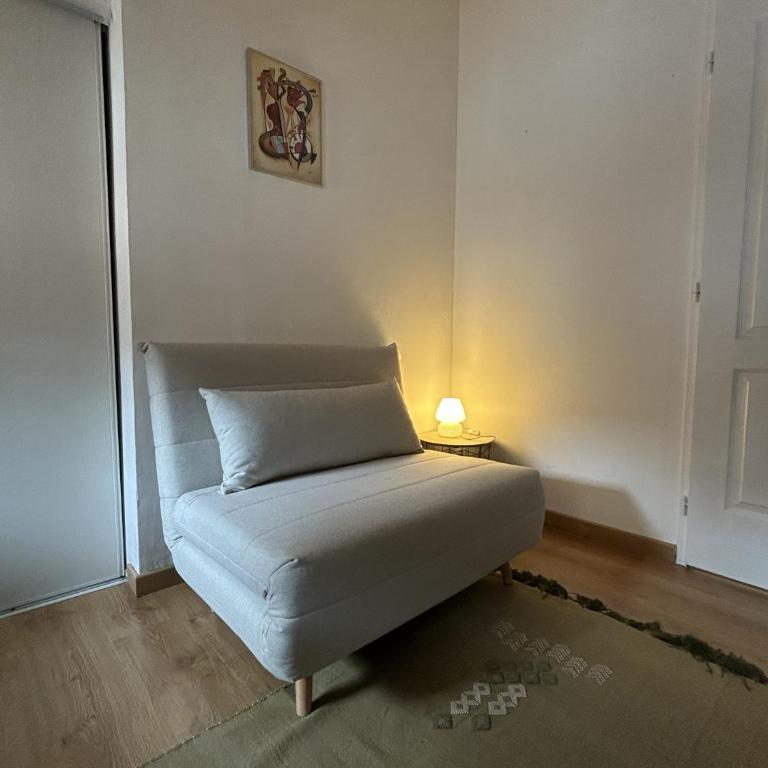 Charmant appartement en hypercentre - Quartier les Carmes Palais de Justice - Apartment mit 1 Schlafzimmer - 7