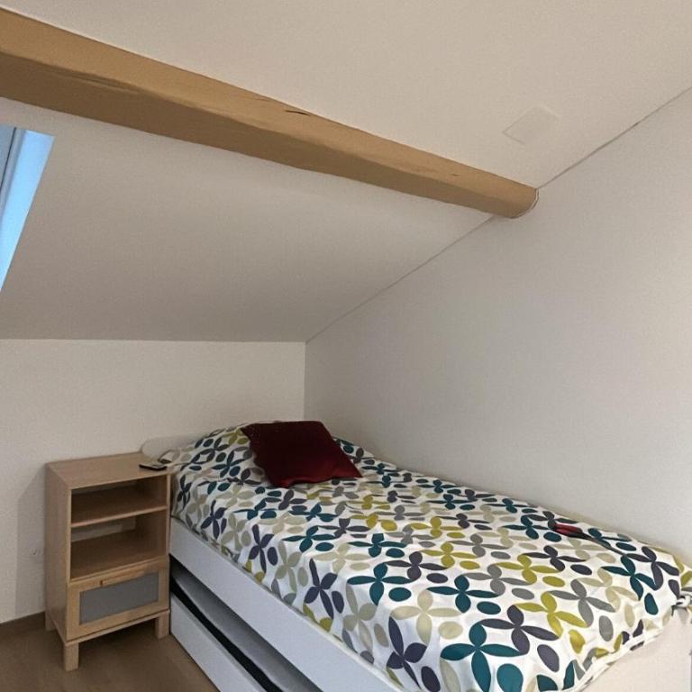 House at the foot of Salève and 2 steps from Geneva - Maison 3 Chambres - 23