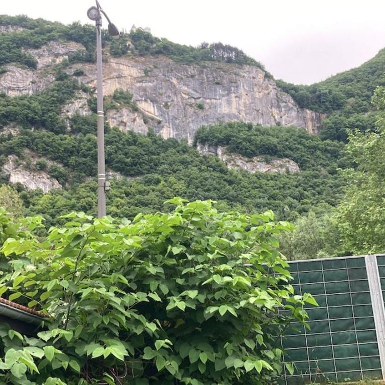 House at the foot of Salève and 2 steps from Geneva - Maison 3 Chambres - 24