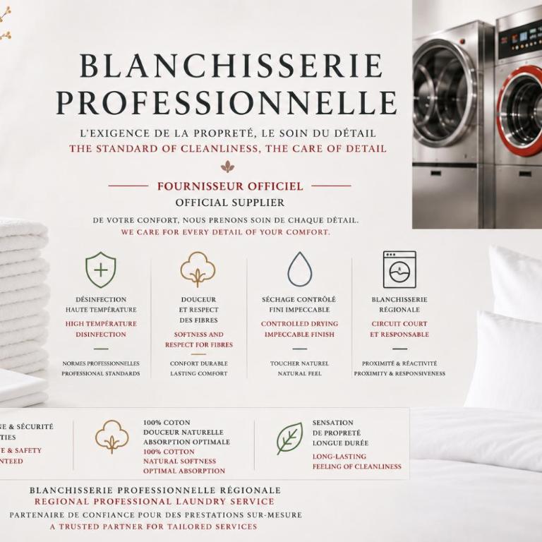 Appartements boutique dans un hôtel particulier rénové Centre & gare Parking privé Villa Vermillon Galerie - Studio Deluxe - 4