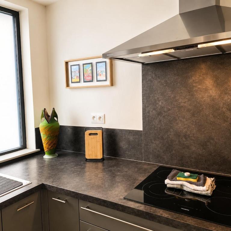 Les Embruns de Malo Terrasse 6 Voyageurs - Haus mit 3 Schlafzimmern - 25