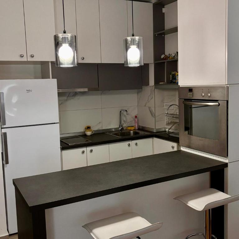 Urban Oasis Belgrade- free parking, quiet area close to City Centre - One-Bedroom Apartment - 13