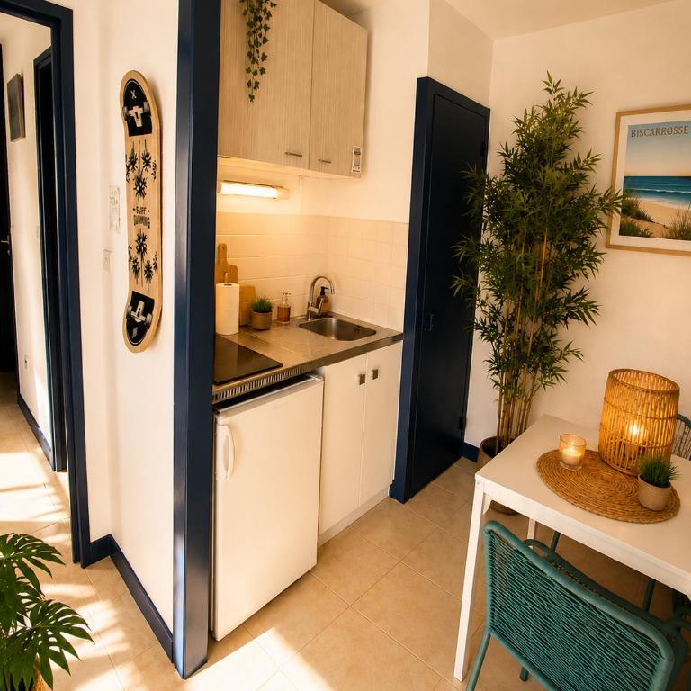 Une des plus belles vues de Biscarrosse Plage Terrasse panoramique de 63 m2 face ocean vue mer exceptionnelle plage a pied emplacement unique parking gratuit - Appartement 2 Chambres - 7