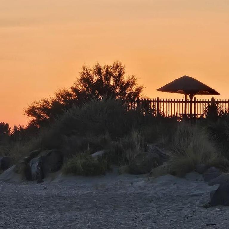 Studio 4 personnes au Cap-d'Agde - Studio Supérieur - 2