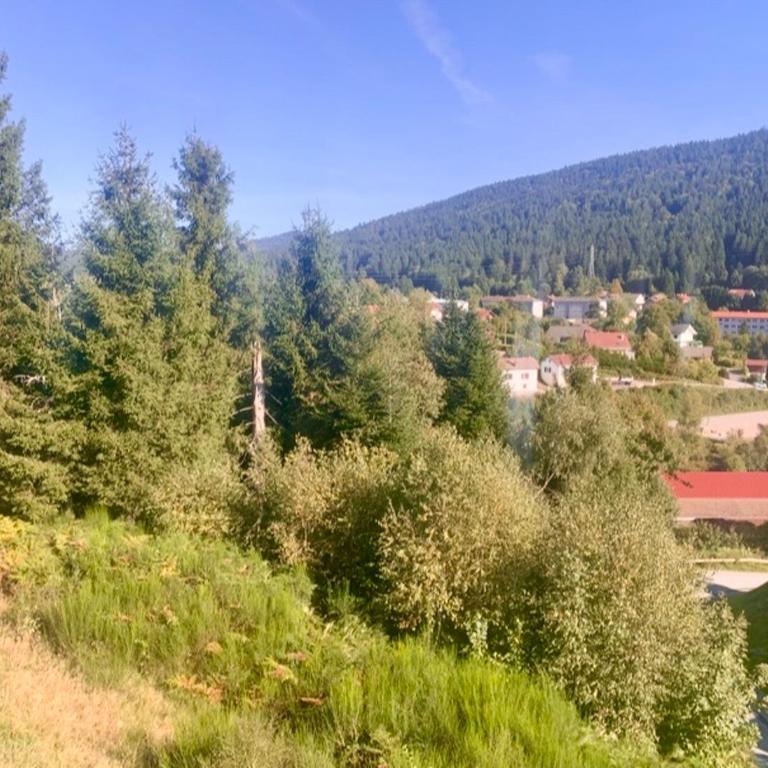 Appartement avec 2 chambres et séjour balcon plein sud et une vue panoramique 180 a GERARDMER app 103 - Apartamento de 2 dormitorios - 7