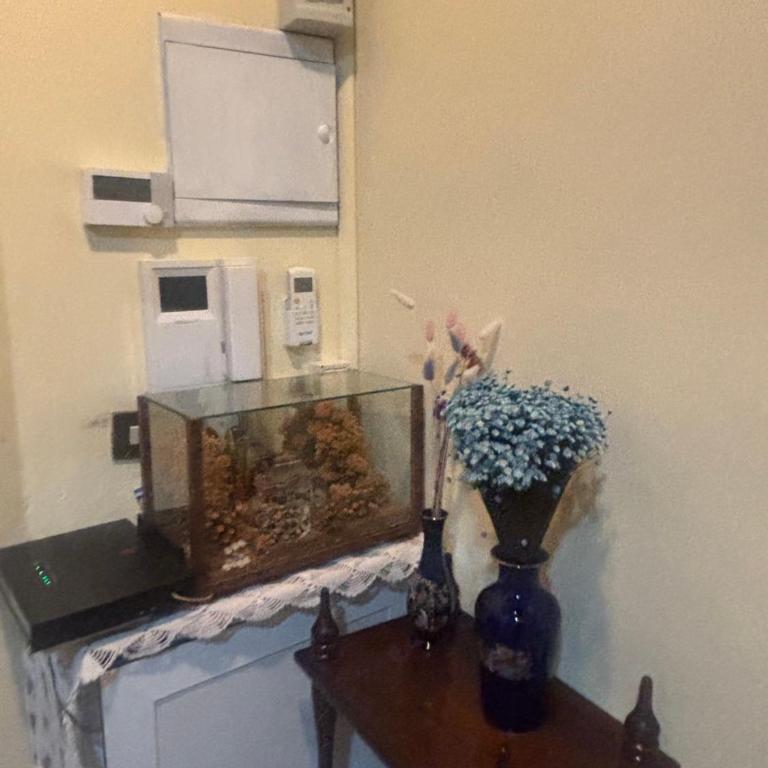 Affittacamere Firenze in Liberta Parterre - Superior Double Room - 27