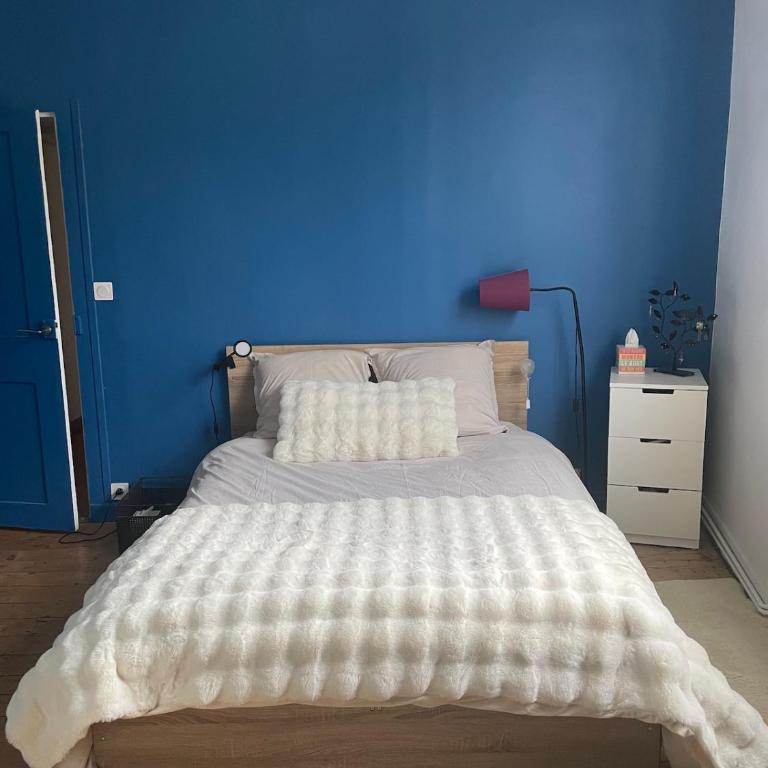 Canut au coeur de la Croix-Rousse - Apartamento de 2 dormitorios - 6