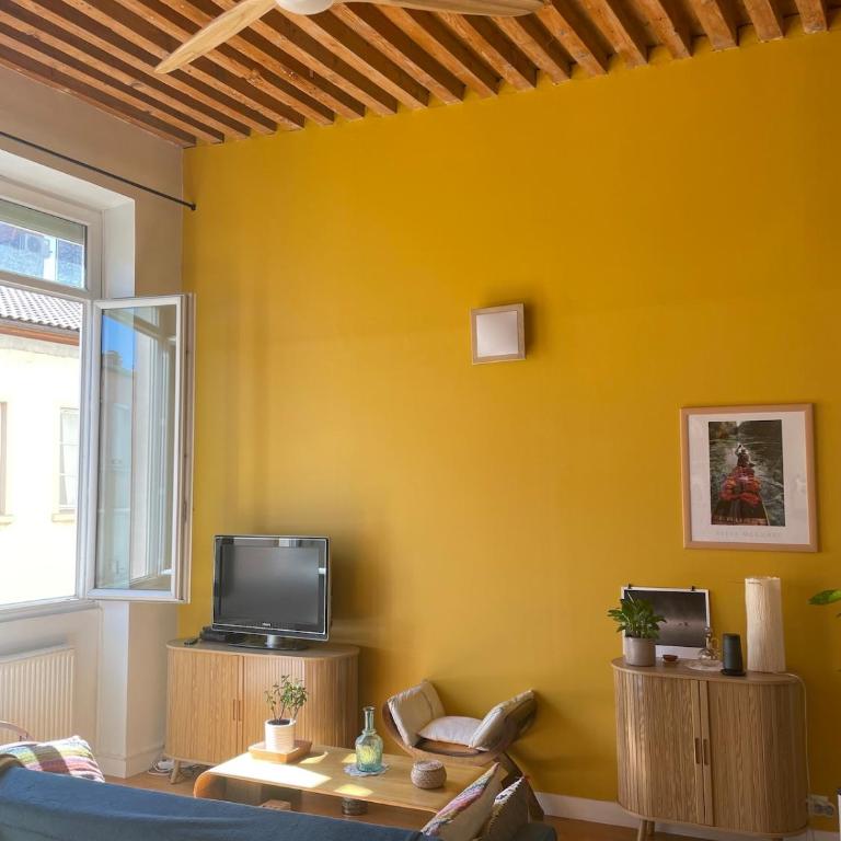 Canut au coeur de la Croix-Rousse - Apartamento de 2 dormitorios - 7