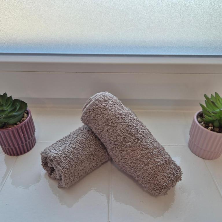 Apartment Knittelfeld Mountain View near Red Bull Ring - Apartment mit 1 Schlafzimmer - 10