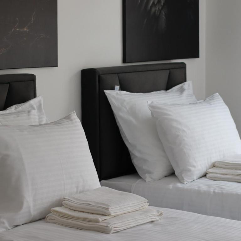 Black Swan Home Tuzla - Apartman sa 1 Spavaćom Sobom - 19