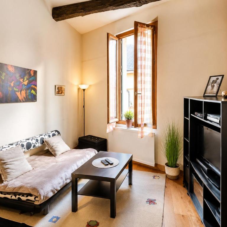 Appartement avec mezzanine en plein cœur du centre d'Aix - Apartment - 1