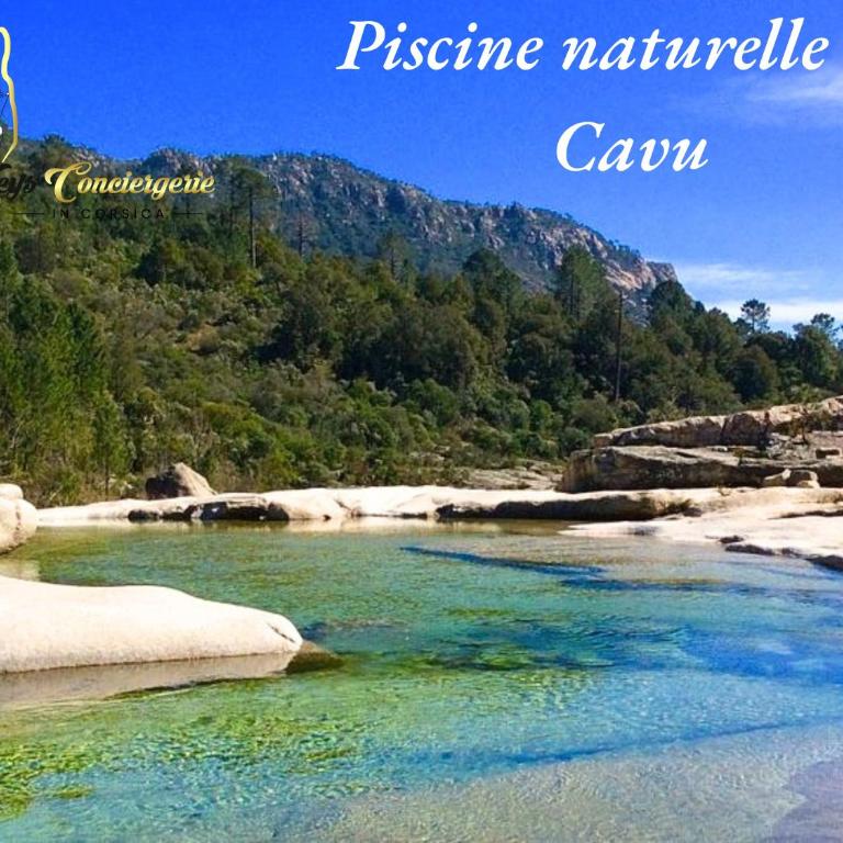 Villa 6 pers Piscine Chauffée Campagne Porto Vecchio - Maison 3 Chambres - 41