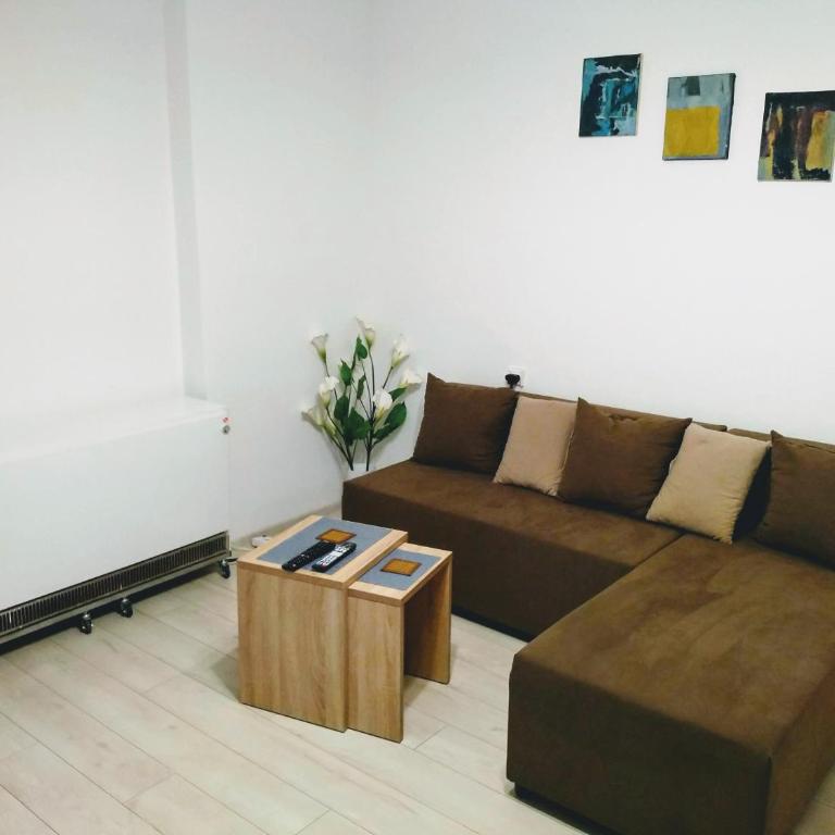 Belgrade Brankov bridge - Downtown - Appartement 1 Chambre - 14