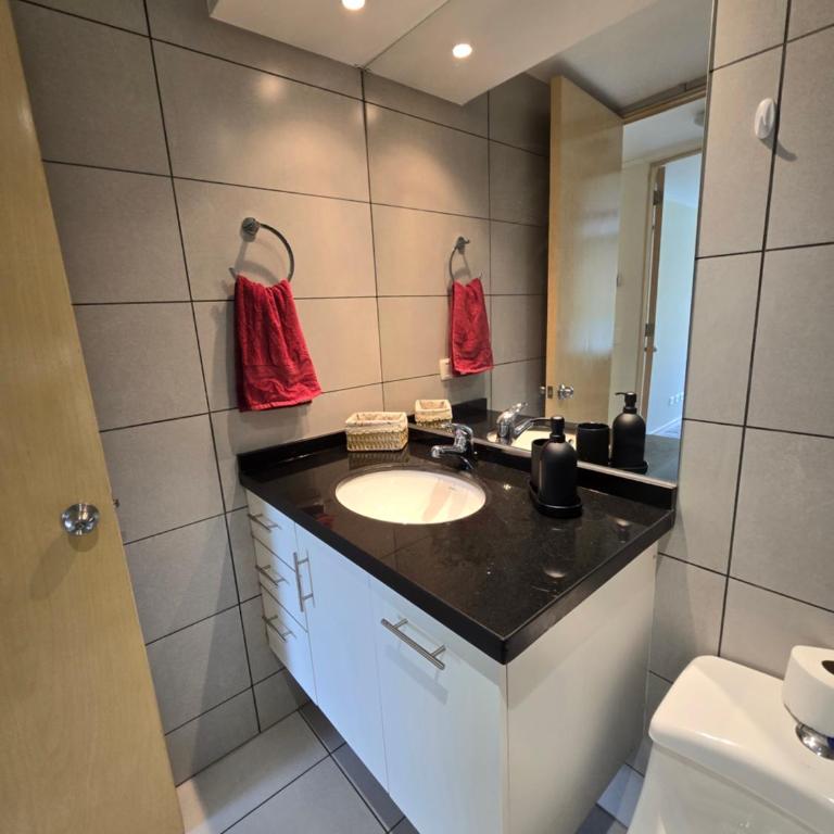 Providencia Premium Departamento 1 o 2 dormitorios Parking gratis - Two-Bedroom Apartment with River View - 10