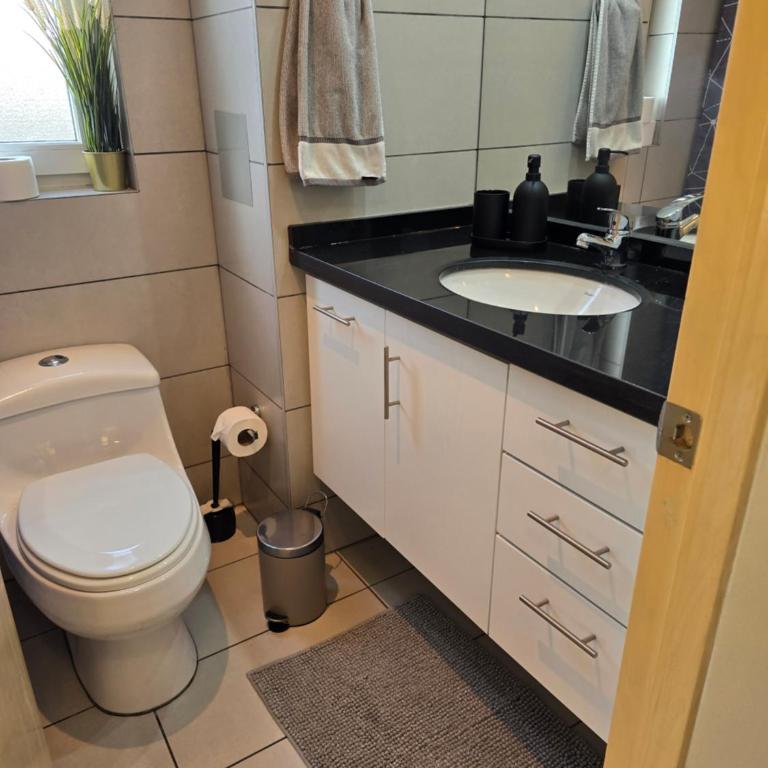 Providencia Premium Departamento 1 o 2 dormitorios Parking gratis - Two-Bedroom Apartment with River View - 12