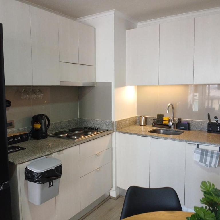 Moderno Depto 2D2B con parking a pasos del Metro - Two-Bedroom Deluxe Apartment with Balcony - 22