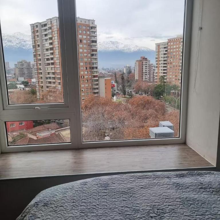 Apartment in Barrio Italia - Two-Bedroom Apartment - 13