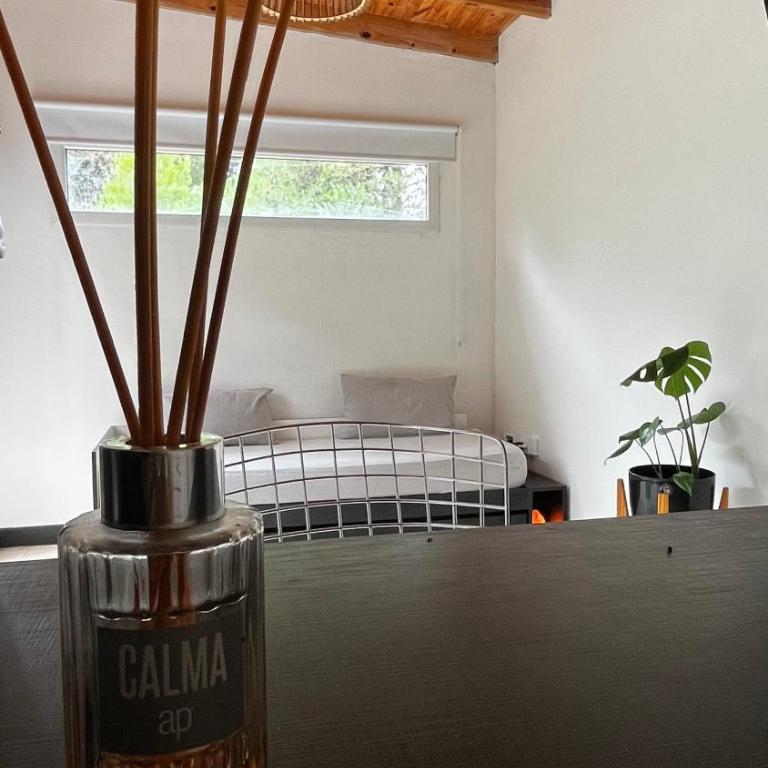 Asiloparque - One-Bedroom Apartment - 6