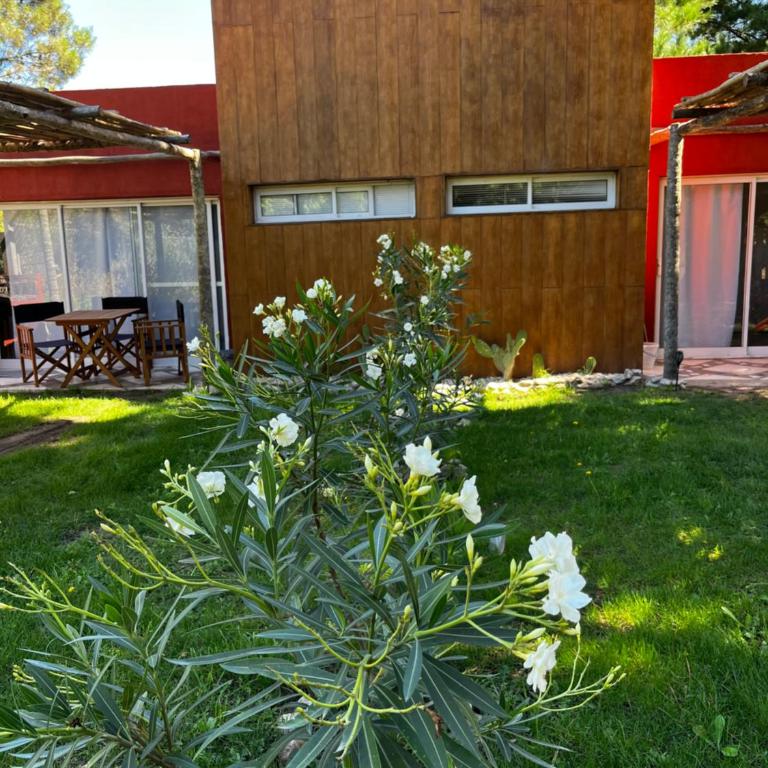 Asiloparque - One-Bedroom Apartment - 8