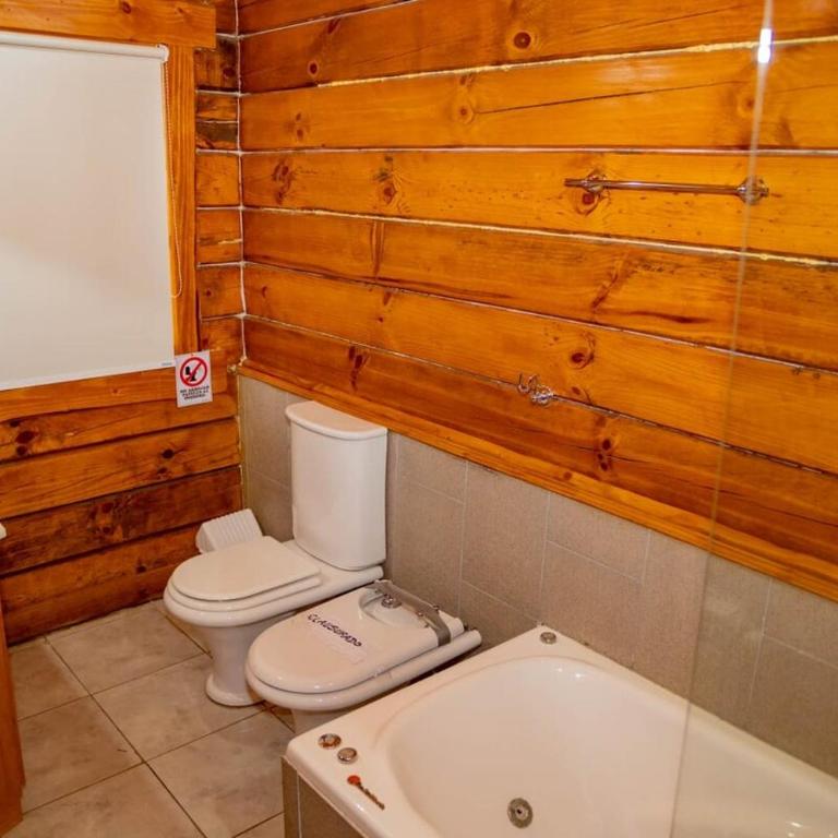 Casa Newen del Sur - Chalet - 3