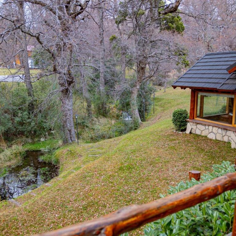 Casa Newen del Sur - Chalet - 11
