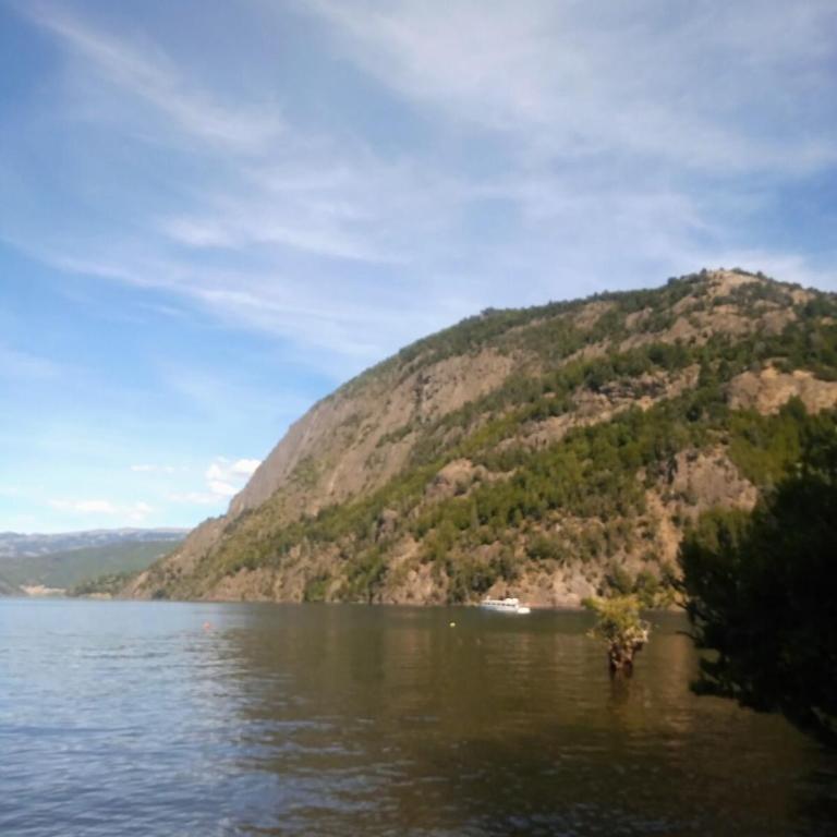 Casa Newen del Sur - Chalet - 20