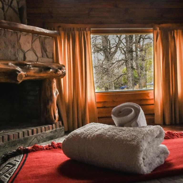 Casa Newen del Sur - Chalet - 27