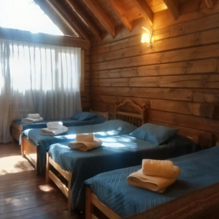 Casa Newen del Sur - Chalet - 41