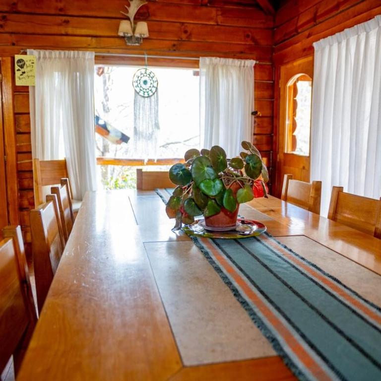 Casa Newen del Sur - Chalet - 46