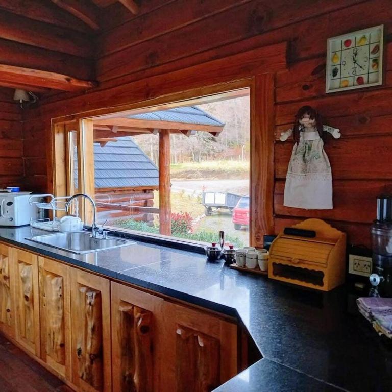 Casa Newen del Sur - Chalet - 47