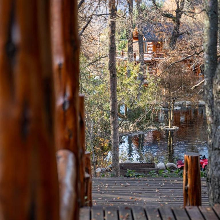 Casa Newen del Sur - Chalet - 49