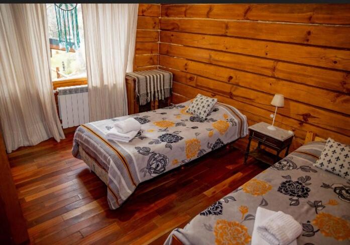 Casa Newen del Sur - Chalet - 55