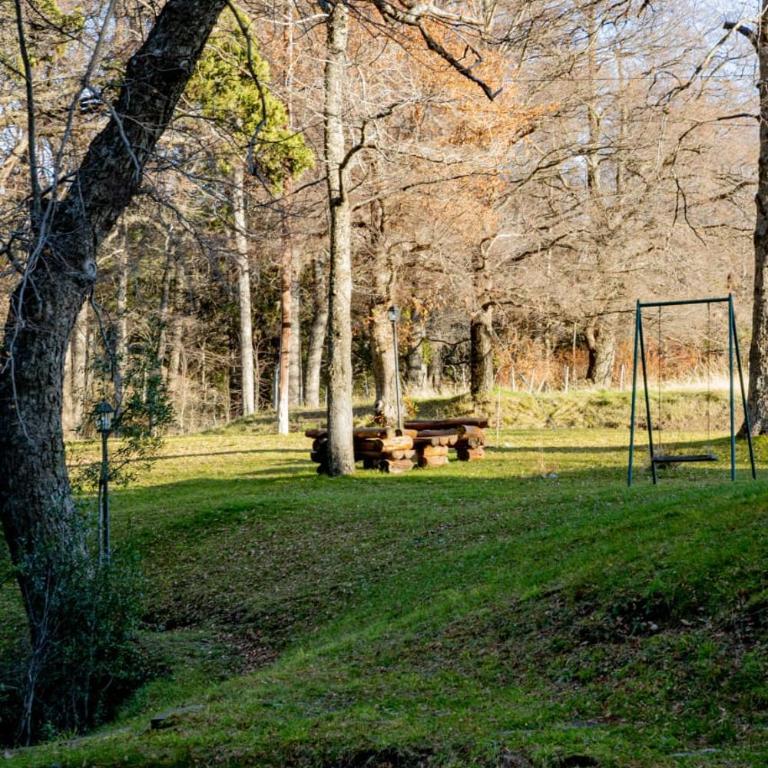 Casa Newen del Sur - Chalet - 56