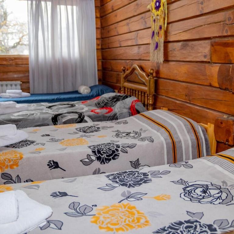 Casa Newen del Sur - Chalet - 62