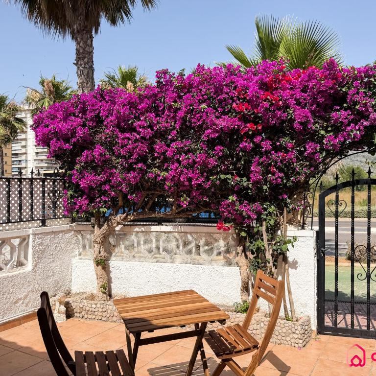 House Bloom - Casa de 3 dormitorios - 31