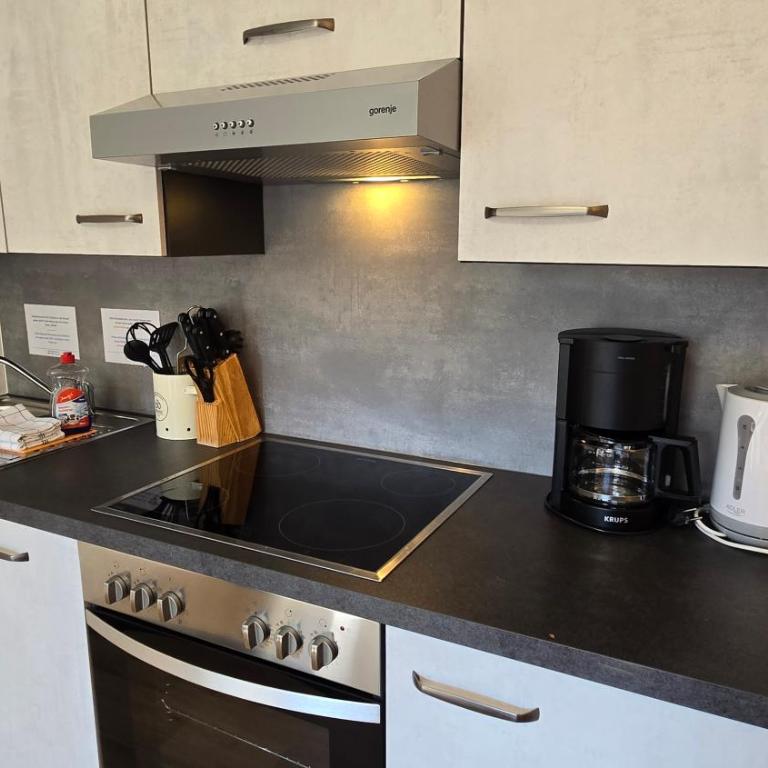 Alpin Apartments - Studio mit Balkon - 4
