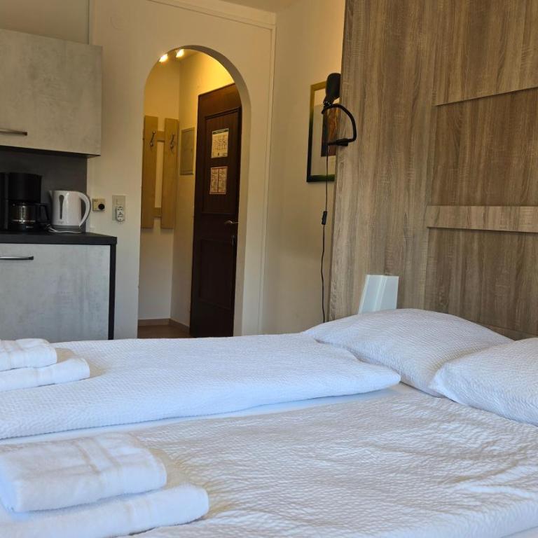 Alpin Apartments - Studio mit Balkon - 5