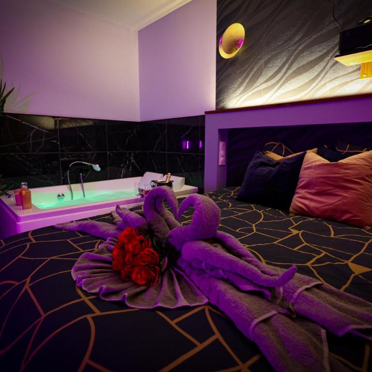 Suites Sensorielles - Love Room Spa - Jacuzzi - Sauna - Cinéma - Appartement 1 Chambre - 12
