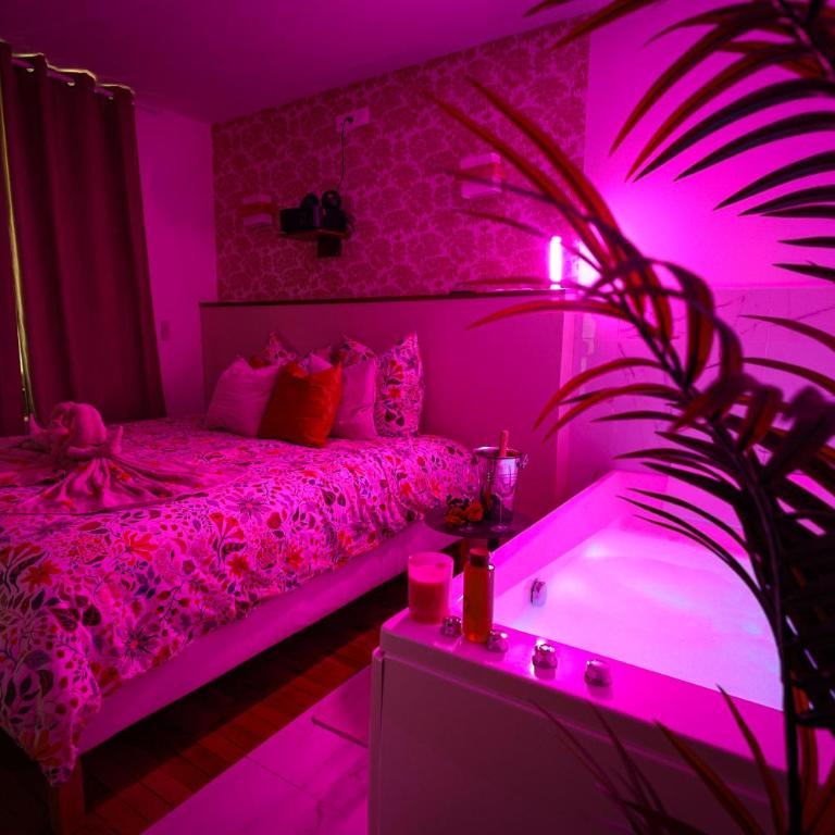 Suites Sensorielles - Love Room Spa - Jacuzzi - Sauna - Cinéma - Appartement 1 Chambre - 13