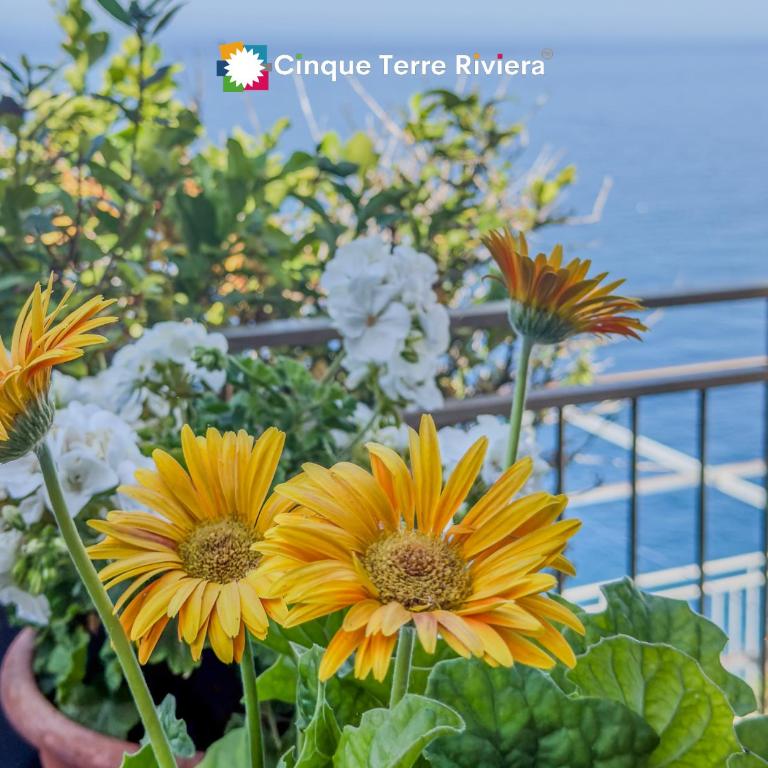 Lissa Sea View Room in Riomaggiore - Appartamento con 1 Camera da Letto - 21