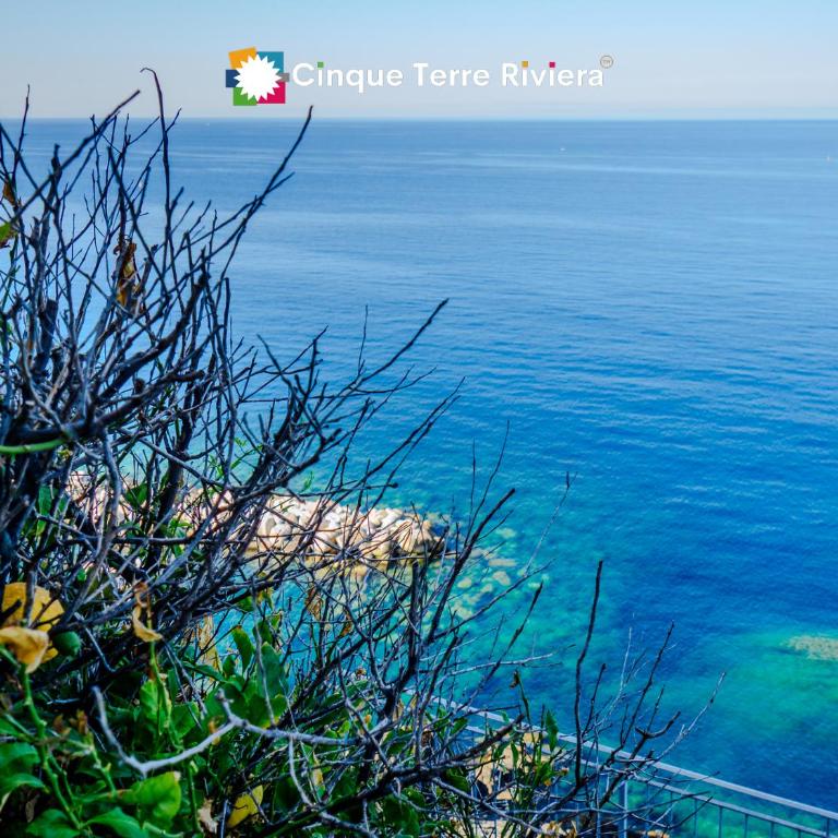 Lissa Sea View Room in Riomaggiore - Appartamento con 1 Camera da Letto - 26
