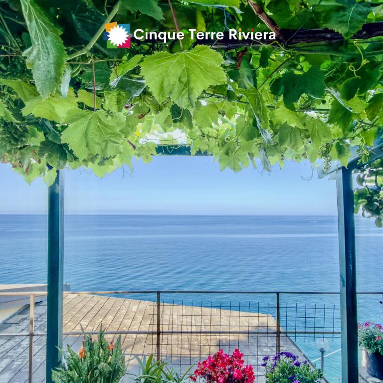 Lissa Sea View Room in Riomaggiore - Appartamento con 1 Camera da Letto - 29