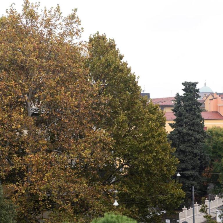 Casa Bel, Bologna By Short Holidays - One-Bedroom Apartment - 9