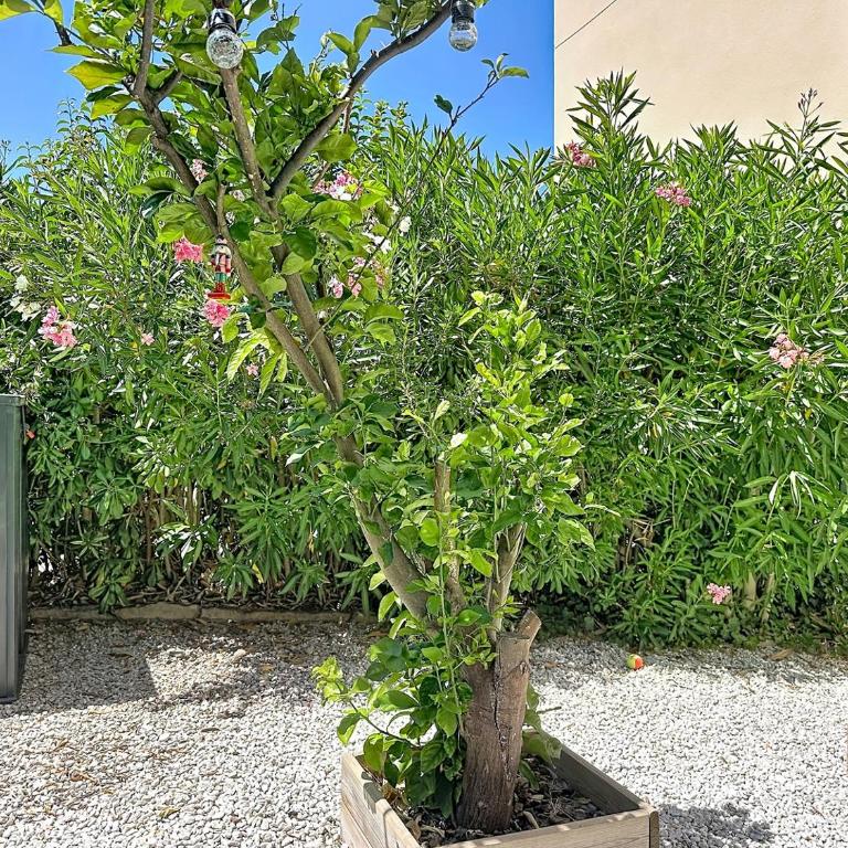 Beach 12min Walk - Family - Garden - Quiet - Apartamento de 2 dormitorios - 19