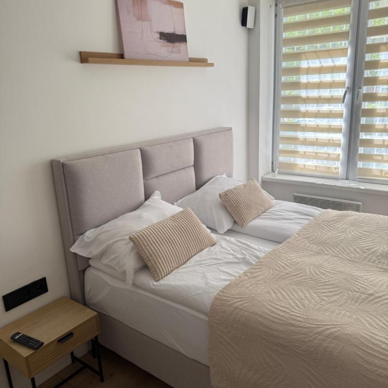 Apartman DASH, korak do centra i svih bitnih znamenitosti - Apartman sa 1 Spavaćom Sobom - 22